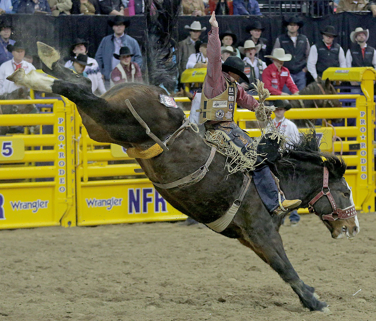 Wrangler National Finals Rodeo — Round 8 — Jake Watson 01.jpg